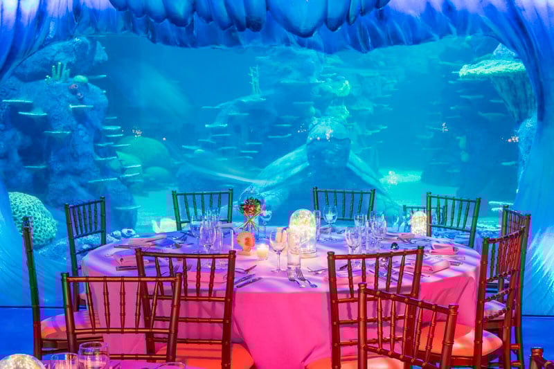 At SEA LIFE Sydney Aquarium, dine under the sea amidst the mesmerizing ocean life.