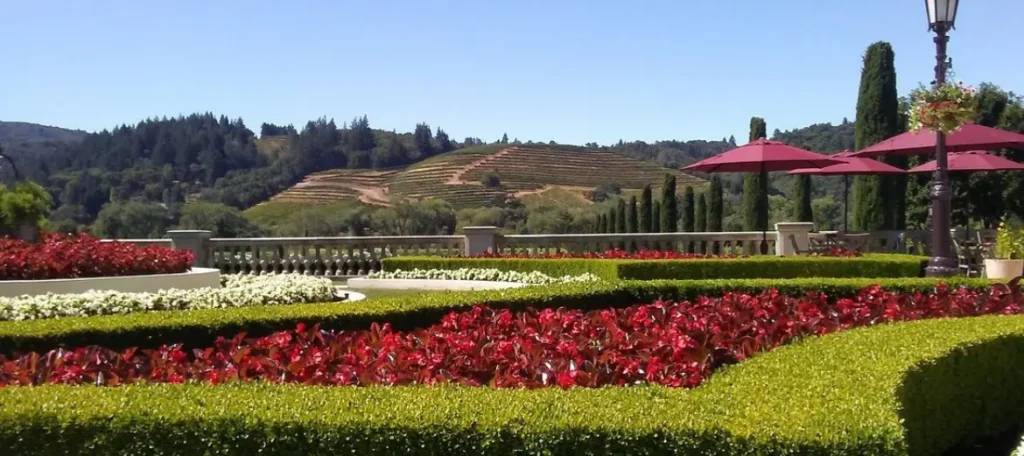  Santa Rosa