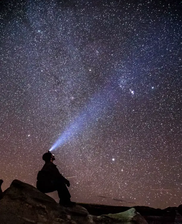 Stargazing with Mountain Goats