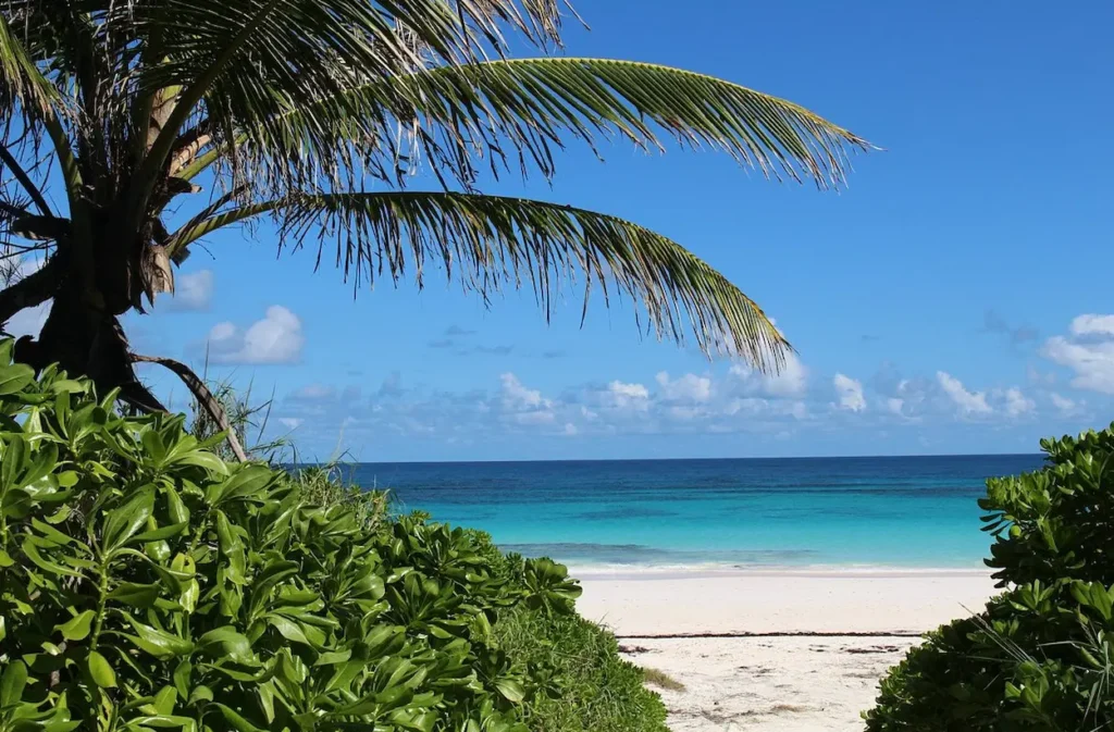 Pink Sands Beach on Harbour Island