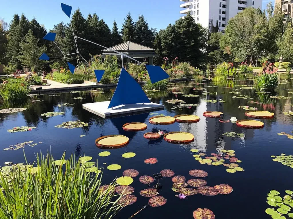 Monet Pool at the Denver Botanic Gardens