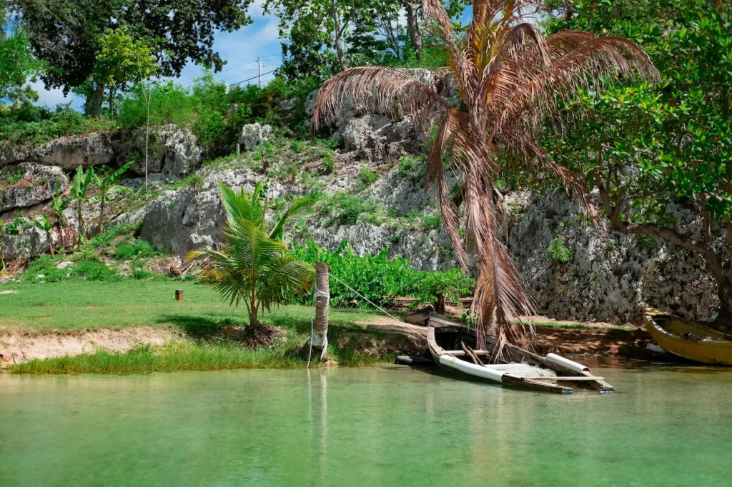 A wooden rowboat tied along a green grassy shore next to a calm tropical lagoon in Ocho Rios, Jamaica