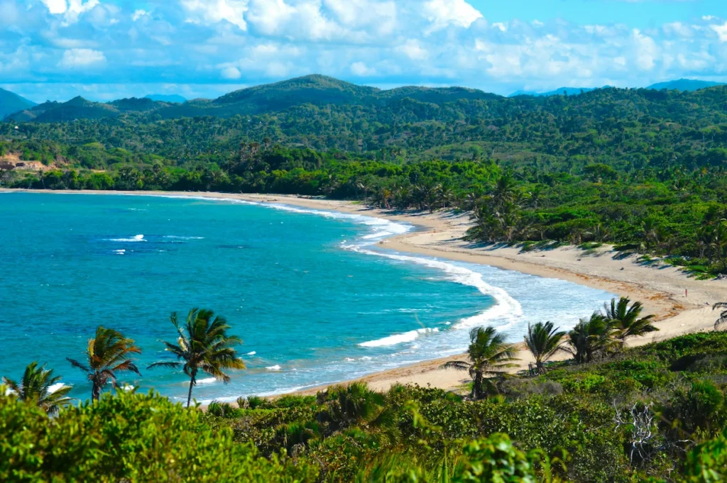 Sandy beach lined with palm trees in Puerto Plata