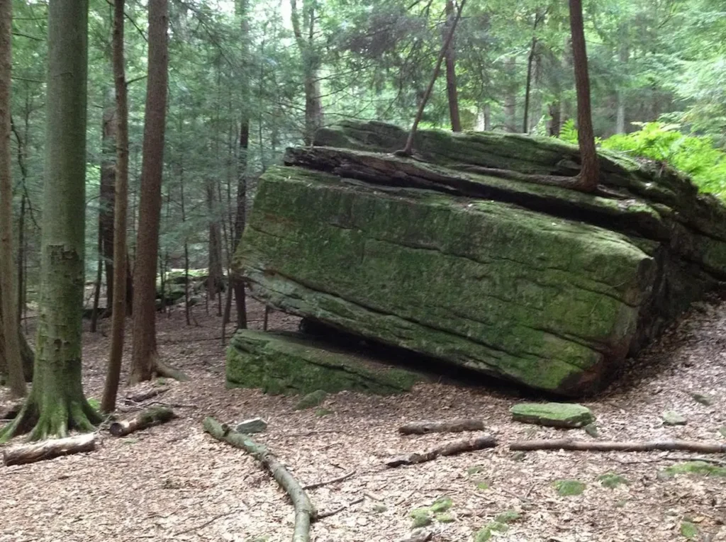 Cook Forest State Park