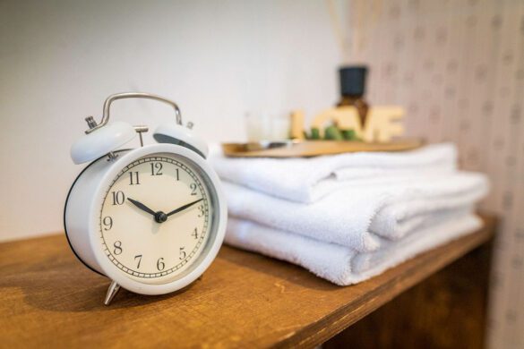 7 Coolest Hostels in Vienna in 2025 (Ranked by a Local)