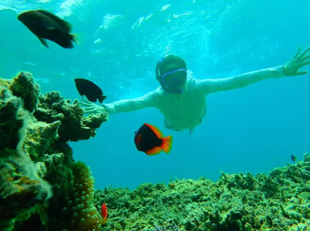 Swim with endangered sea turtles in Ishigaki Island