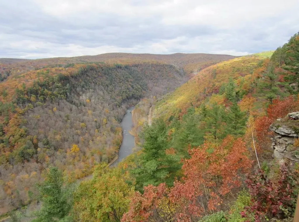 Pine Creek Gorge