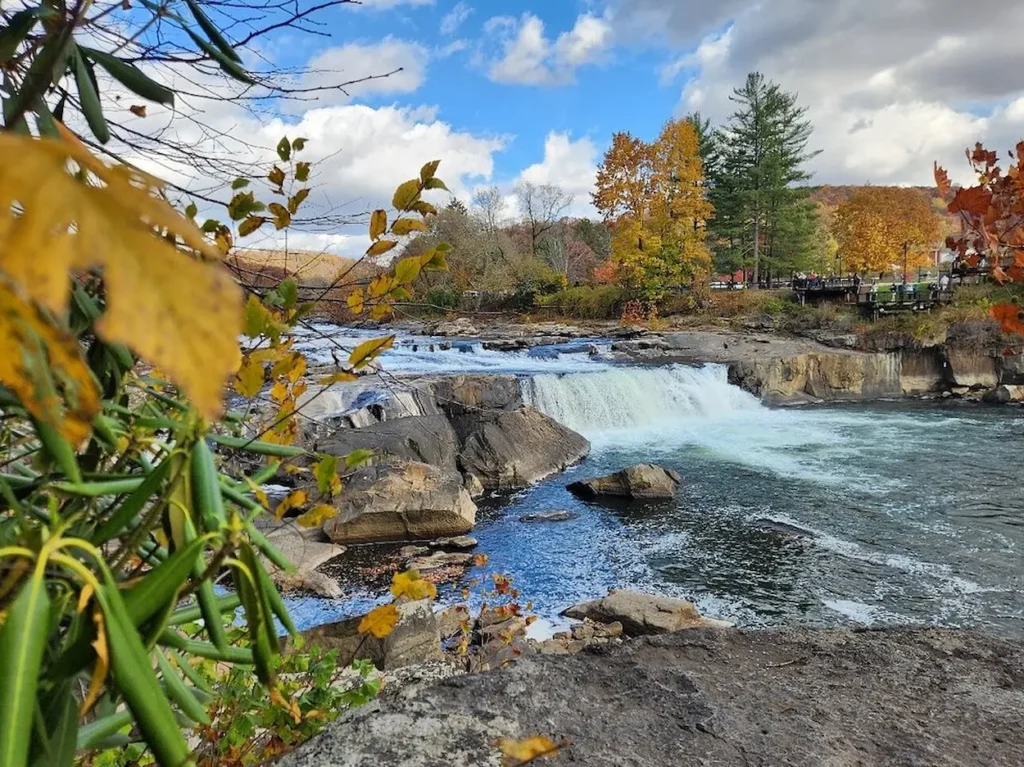 Ohiopyle State Park