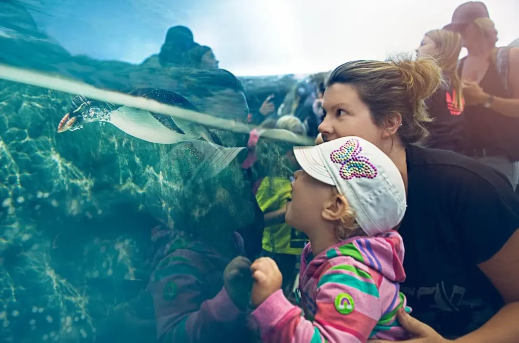 Wilder Institute/Calgary Zoo