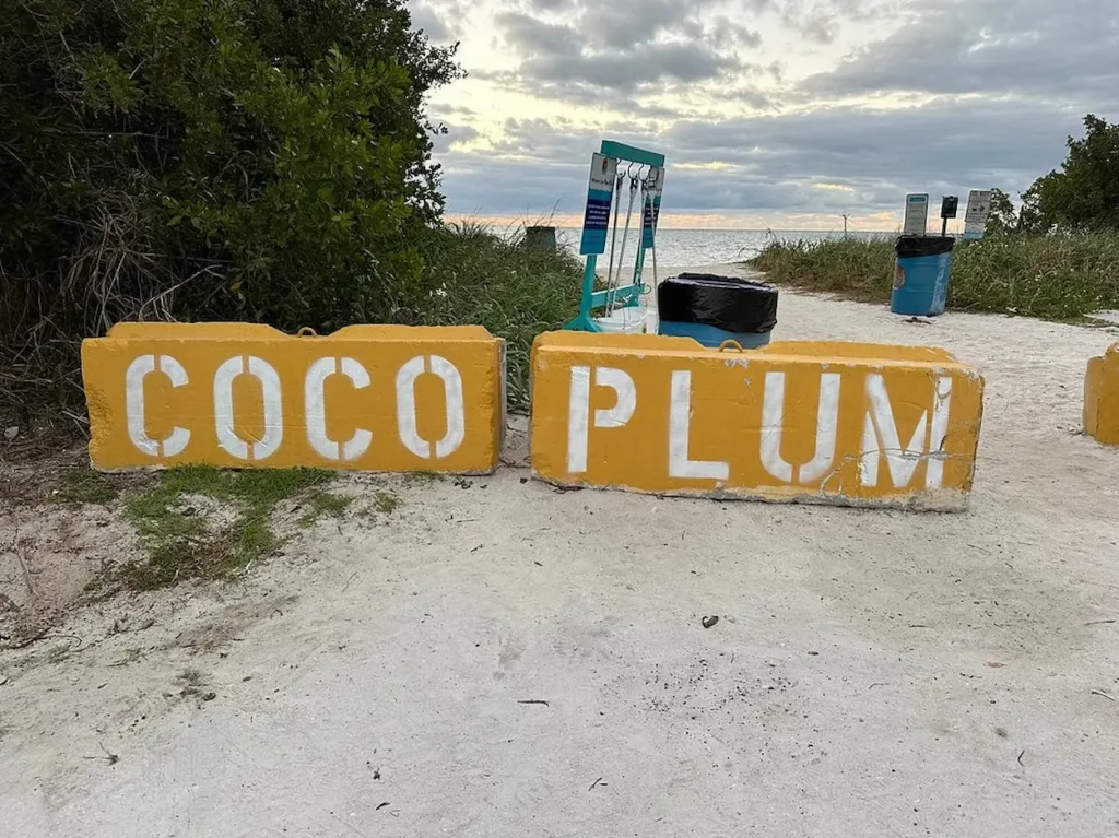Yellow concrete barriers stenciled with the words "COCO PLUM"