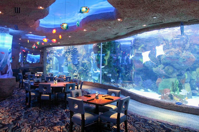 Dine with mermaids and swimming fish at The Aquarium Restaurant.