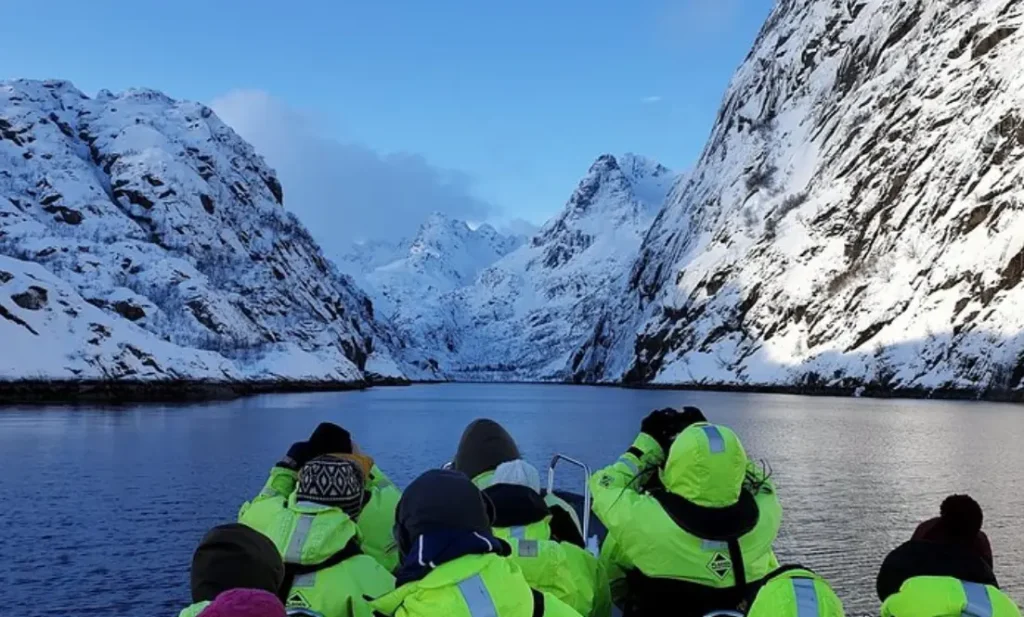 Trollfjord and Sea Eagle Safari Tour from Svolaer