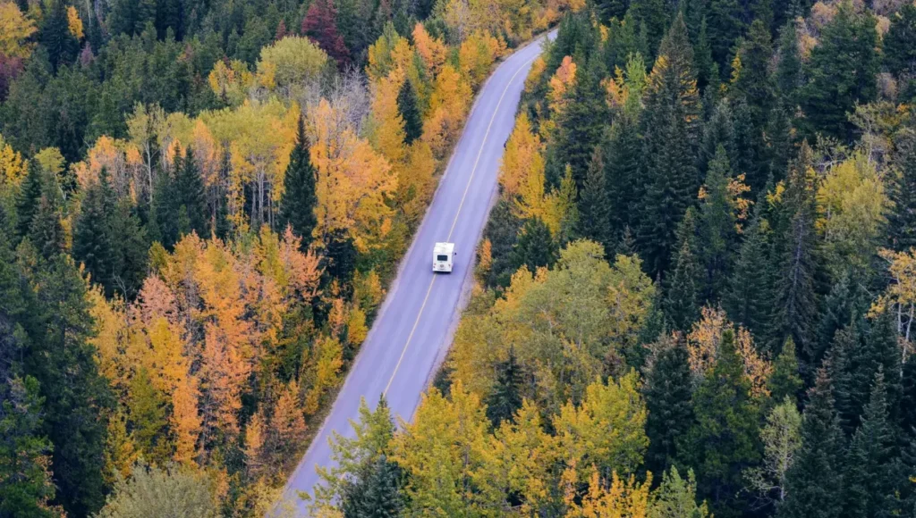 Aerial view of a vehicle on a road surrounded by forest
