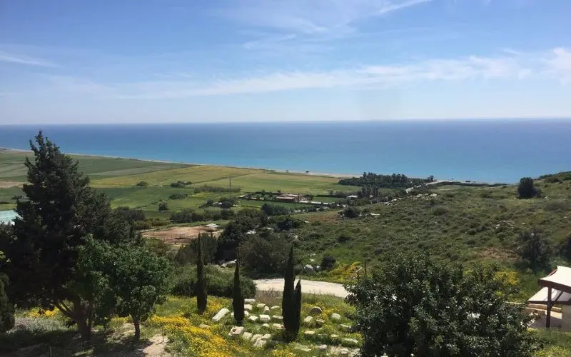 A green landscape overlooking the Mediterranean Sea in Cyprus.