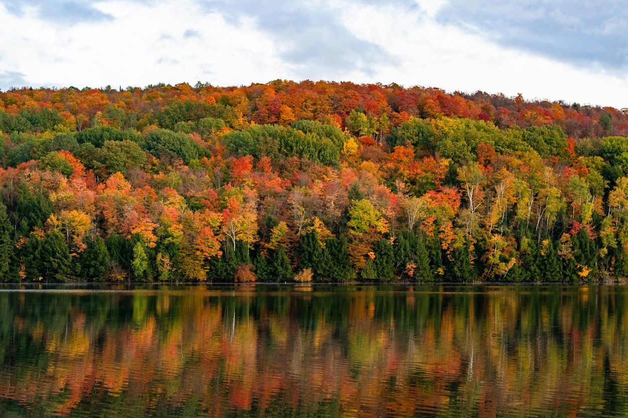 The USA is one of the best countries to visit in October for fall foliage