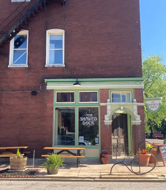 The Shaved Duck