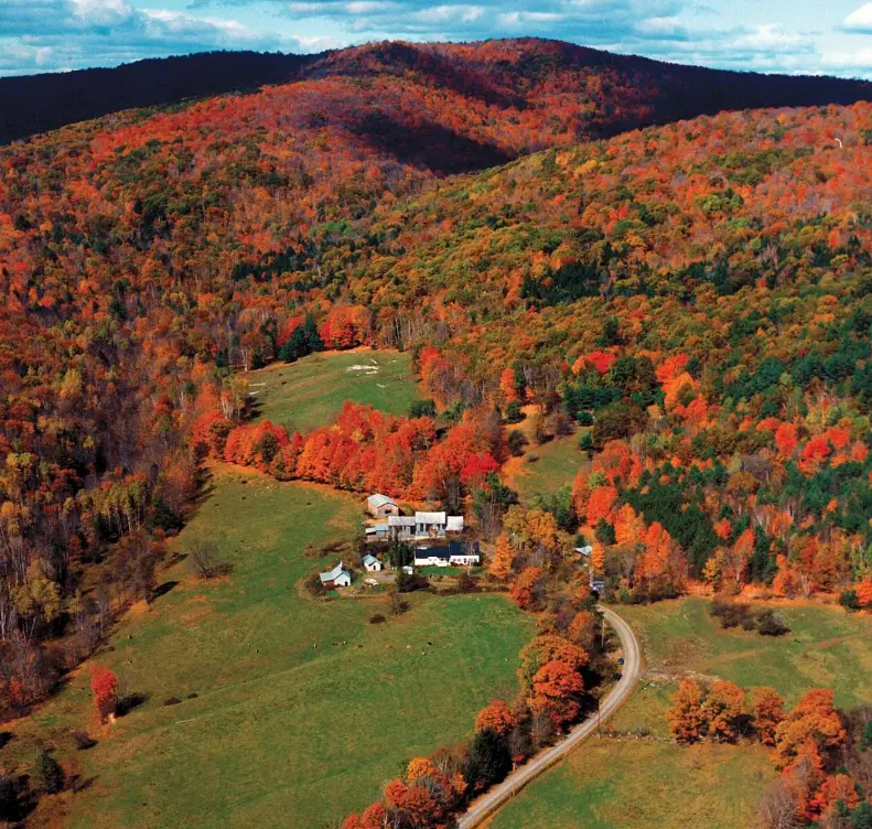 Woodstock