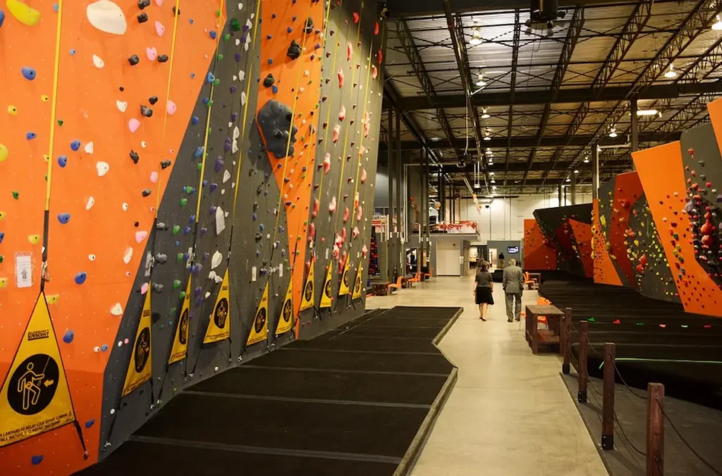 Conquer Altitude Gym