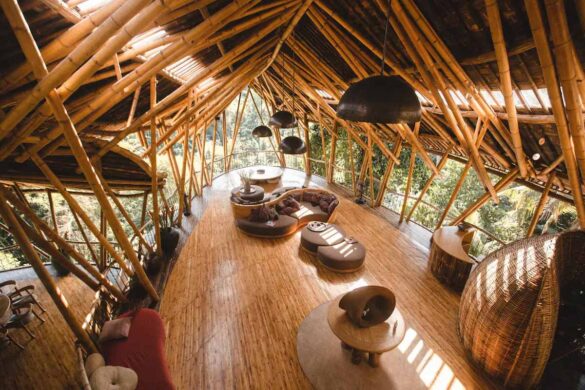 Top 10 Treehouse Airbnb Locations in the World (2024-2025)