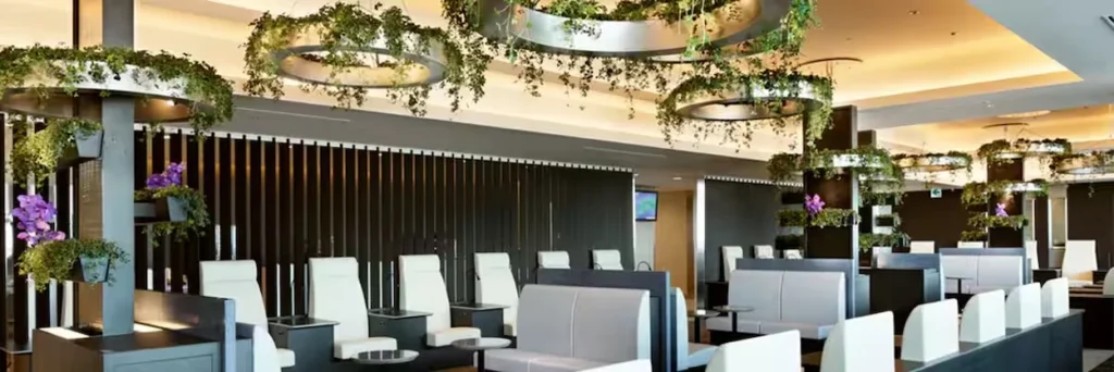 ANA Suite Lounge luxury seating area with hanging green plants
