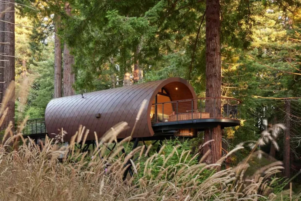Cylindrical wooden treehouse cabin with a curved balcony deck elevated in a dense forest