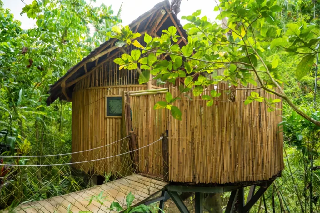 Bamboo treehouse cabin with a wooden suspension bridge entrance in a lush jungle