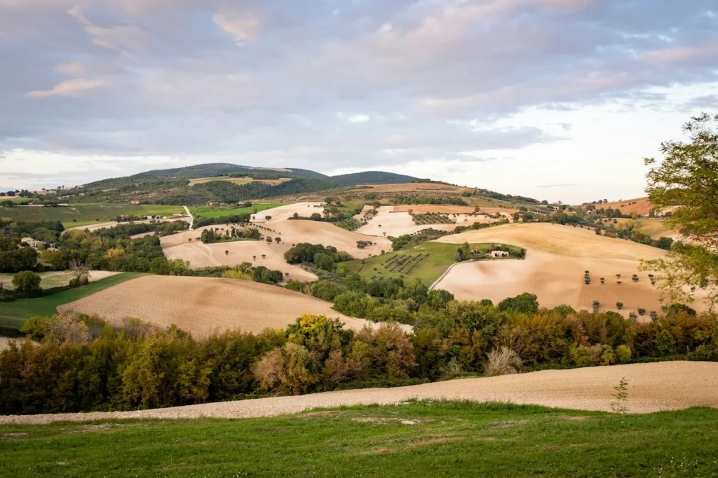 Scenic landscape of the rolling hills and cultivated fields in Marche, Italy