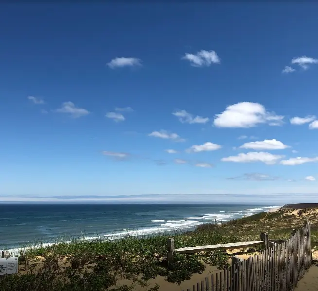 Beach at Cape Cod