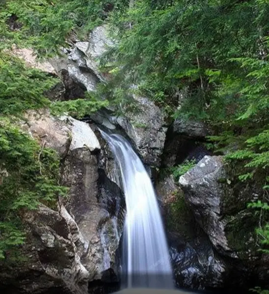 Bingham Falls