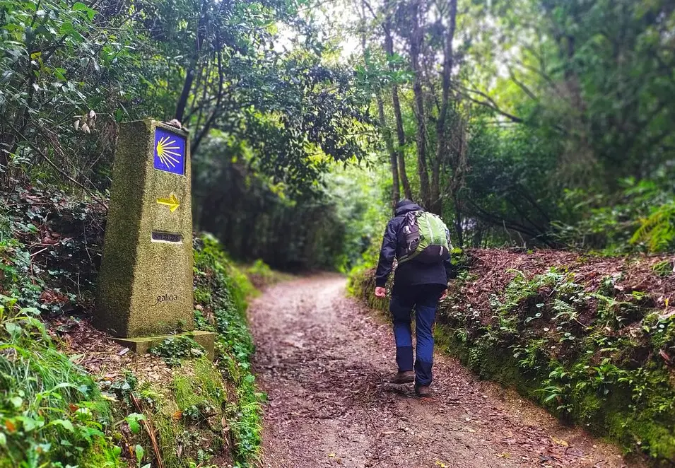 Camino de Santiago