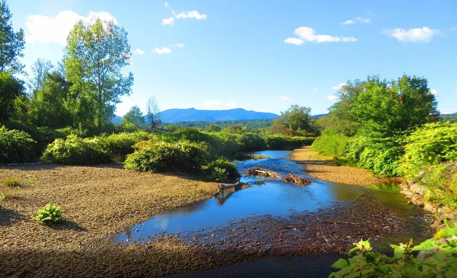 Relaxing nature trip