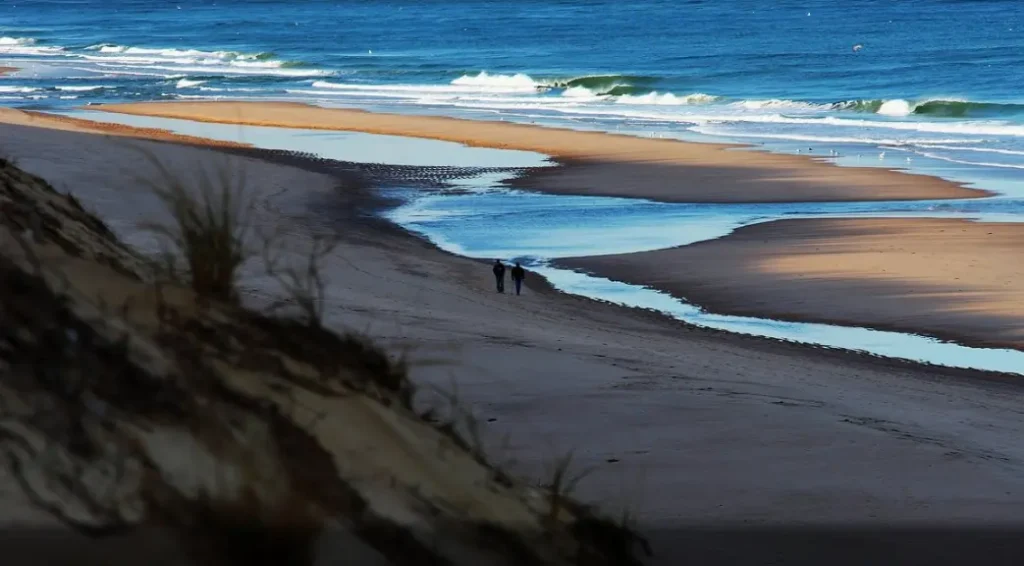 Slow walks on Cape Cod