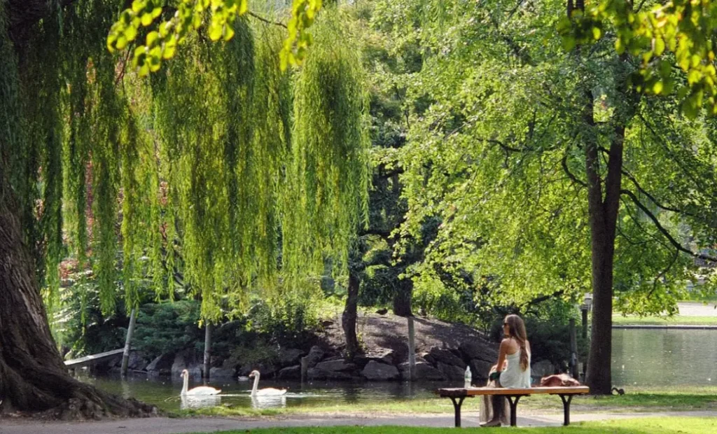 Relaxing park at Boston
