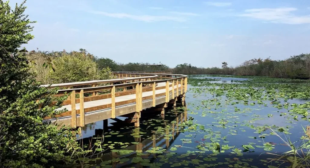 Everglades, Florida