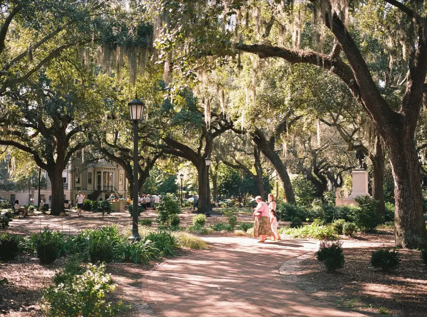 Slow walk trip in Savannah