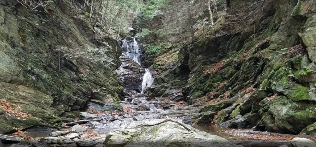 Nature trip in Massachusetts