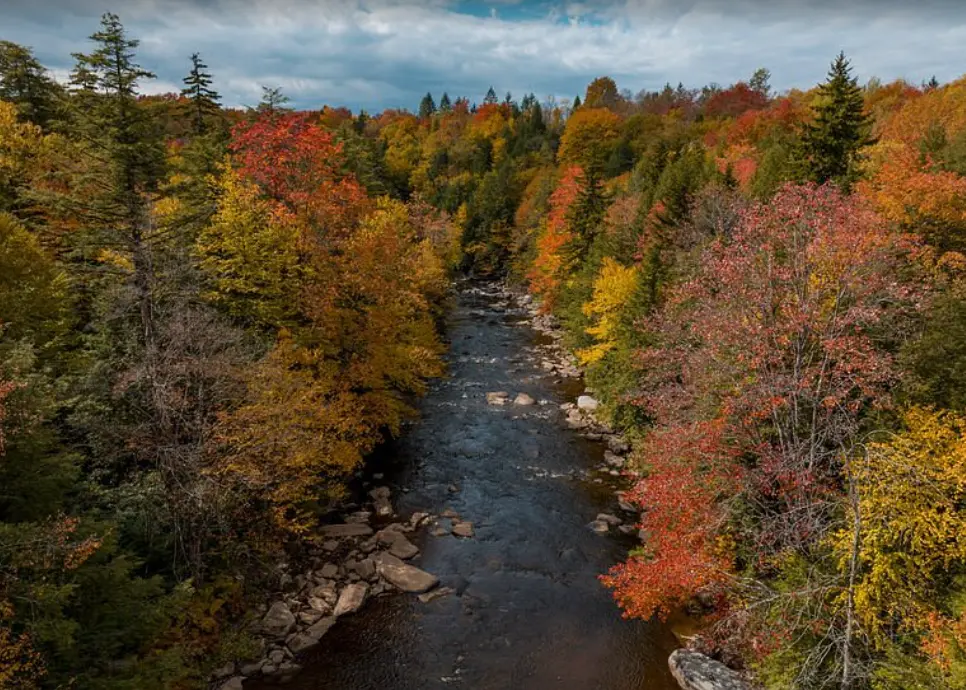Hike and fish at Blackwater Falls State park