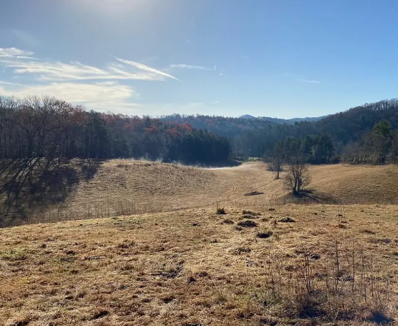 Blue Ridge Mountain Trail Rides At Hells Hollo