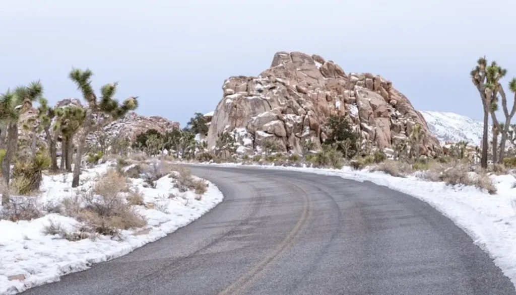 Joshua Tree National Park