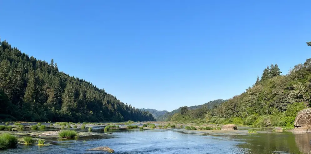 Umpqua National Forest