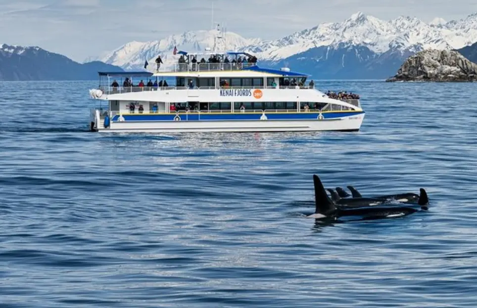 Kenai Fjords National Park Glacier