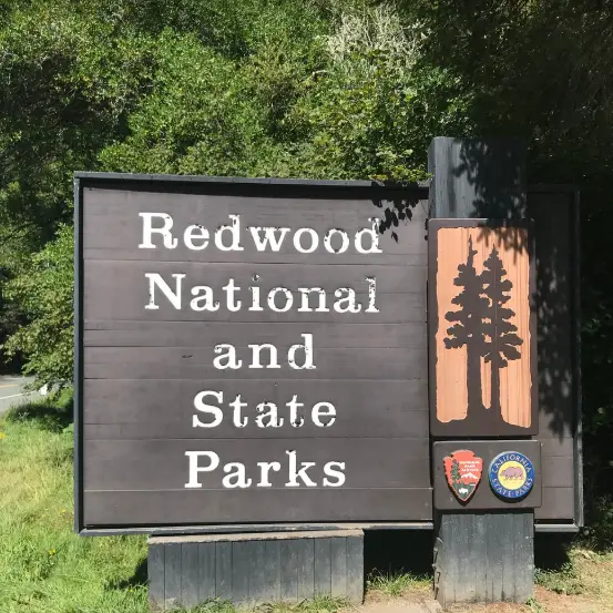 Redwood National and State Parks
