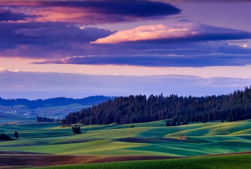 Palouse