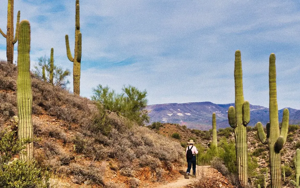 Phoenix, Arizona