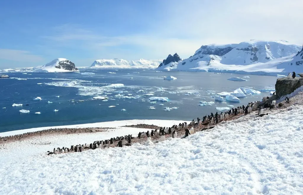 Antarctica