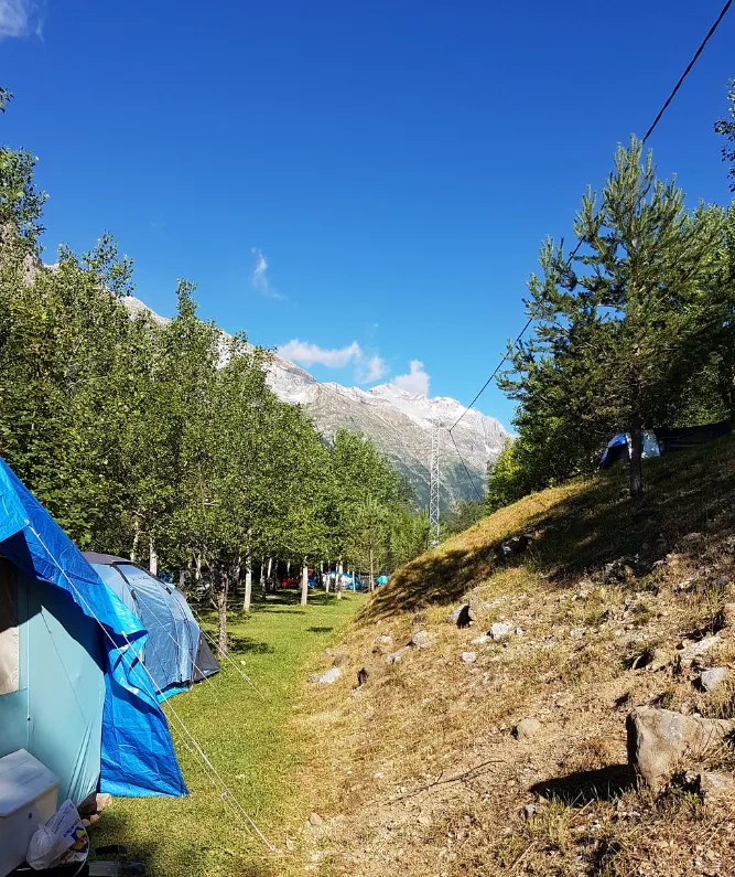 Camping Pineta