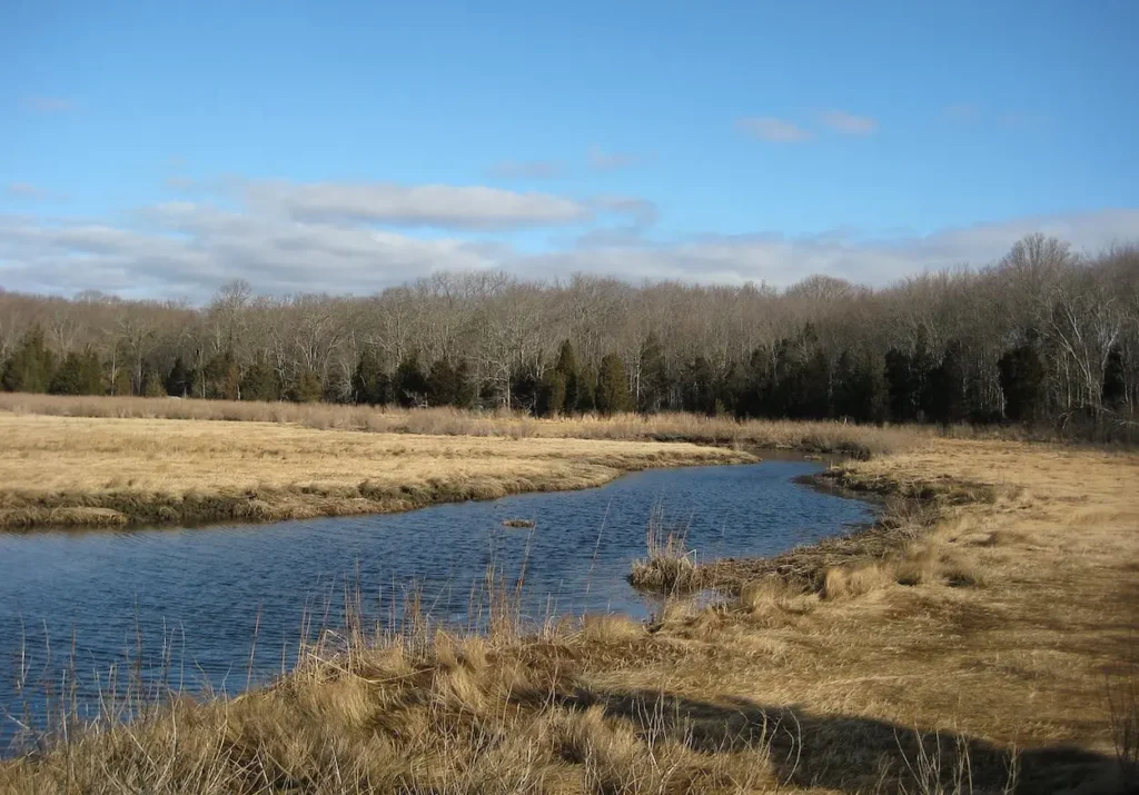 Touisset Marsh Wildlife Refuge in Warren, Rhode Island