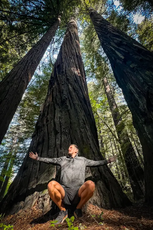My photo of me in the Redwoods
