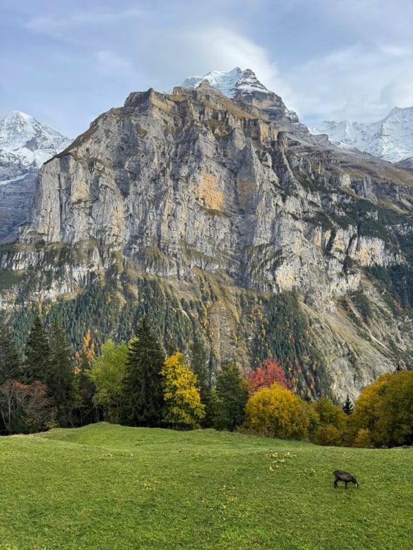 Murren mountain views