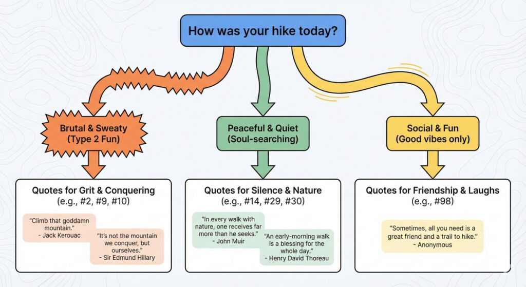My infographic on which quotes align most based on different interests